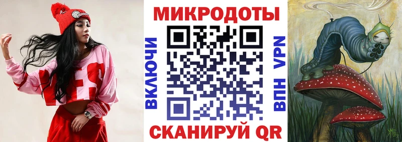 где найти наркотики Лыткарино Псилоцибиновые грибы Psilocybe