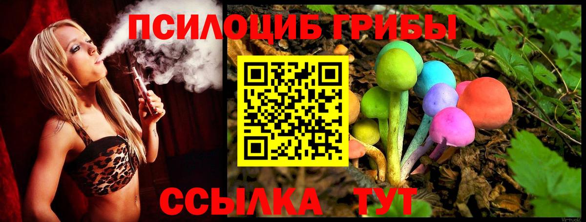 Псилоцибиновые грибы прущие грибы  Галлюциногенные грибы прущие грибы  Вход с VPN  Лыткарино 